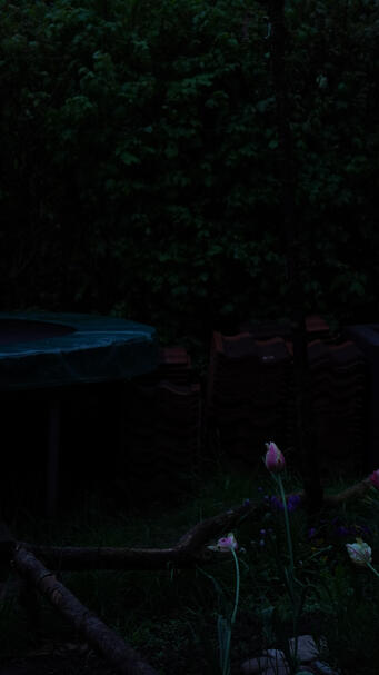 Untitled Untitled