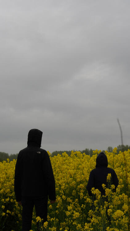 Untitled Untitled