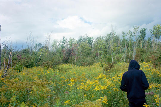 Untitled Untitled