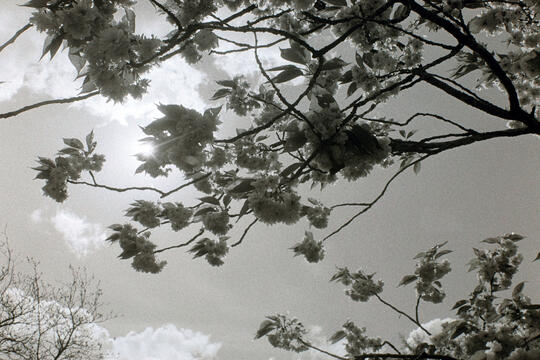 Untitled Untitled