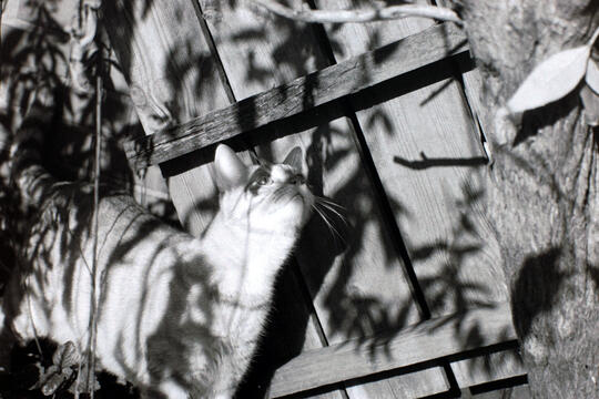 Untitled Untitled