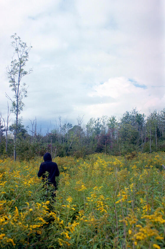 Untitled Untitled