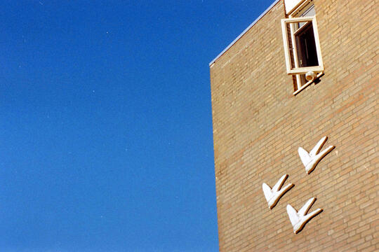 Untitled Untitled